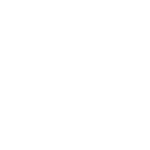 Expert team cleaning